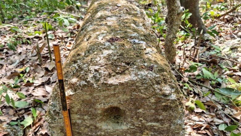 Ancient Maya city discovered in Mexican jungle