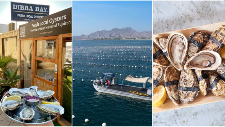Shucking good oysters: 12 places in Dubai celebrating World Oyster Day