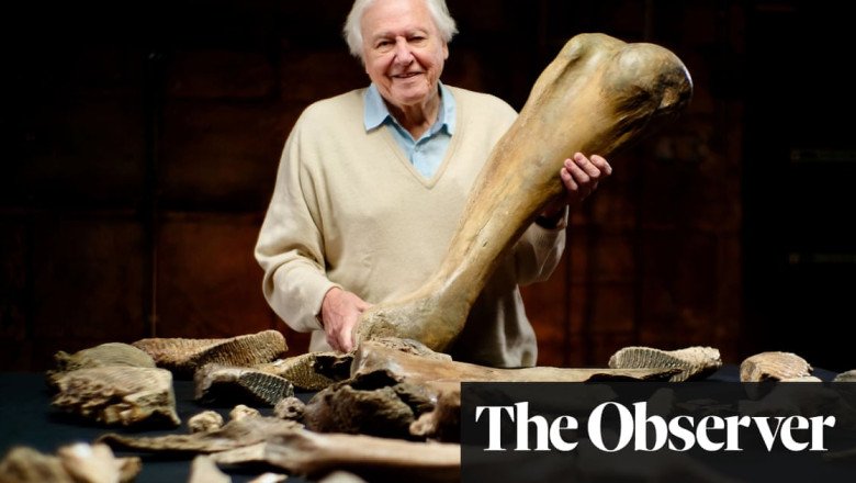 UK experts fear losing access to ice age mammoths Cotswolds site to UAE