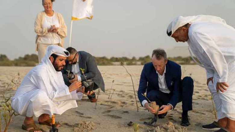 Over 10,000 mangrove saplings planted in Abu Dhabi