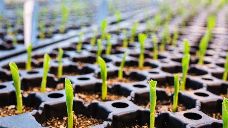 30 years to transform the global food system: Abu Dhabi’s AgTech innovators