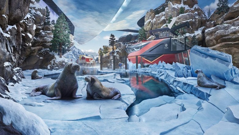 Visit to see incredible walruses of SeaWorld Yas Island, Abu Dhabi