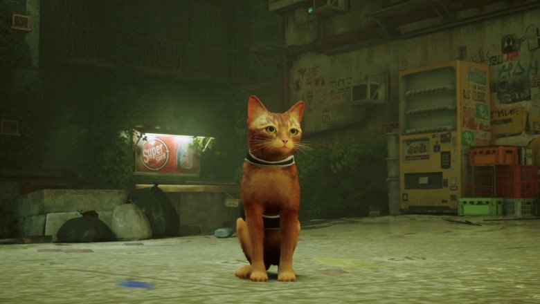Annapurna Interactive’s Stray Now Available on Xbox