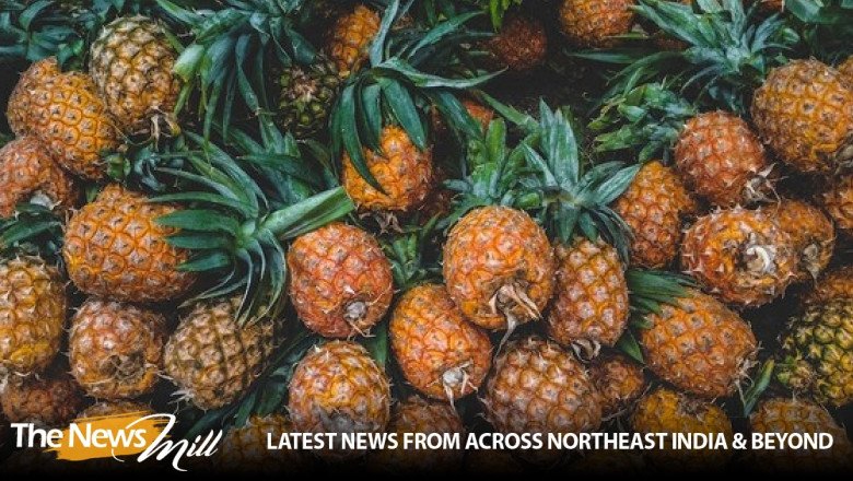 Meghalayan pineapples: A success story from East Garo Hills to Abu Dhabi