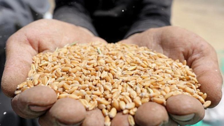 UAE’s Al Dahra, Abu Dhabi fund sign $500mln deal to supply wheat to Egypt