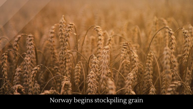 Norway begins stockpiling grain