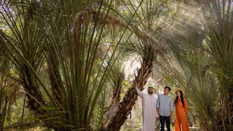 Abu Dhabi holiday homes policy now includes farms