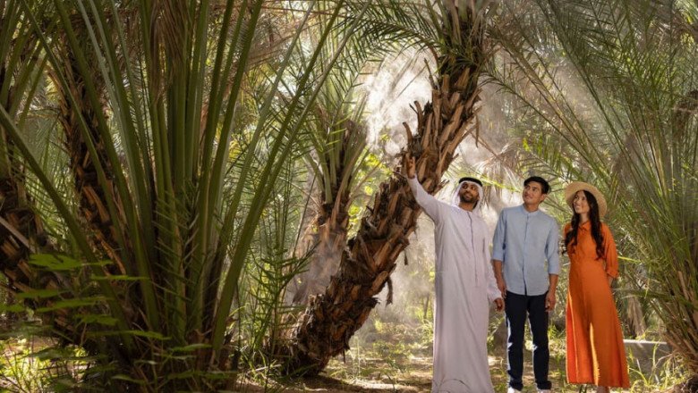 UAE holiday home rental: Abu Dhabi announces major change for farm houses, RVs