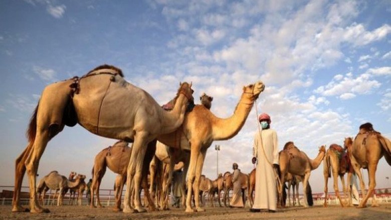World News | Under UAE President’s Patronage, Al Dhafra Festival Kicks off October 21