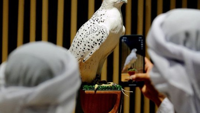 Watch: Shows, prizes at Abu Dhabi hunting expo