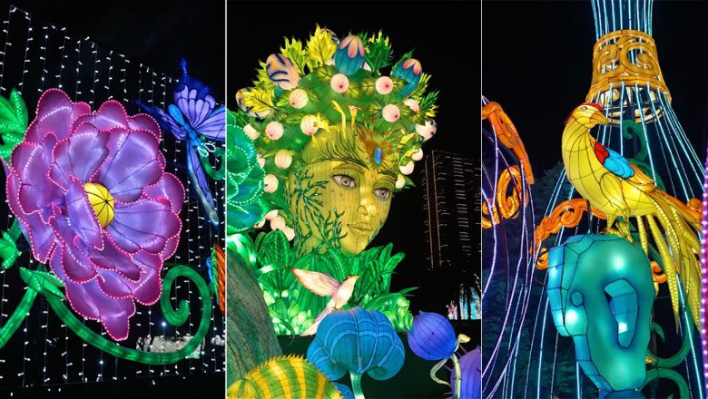 Dubai Garden Glow reopens for a brand new season