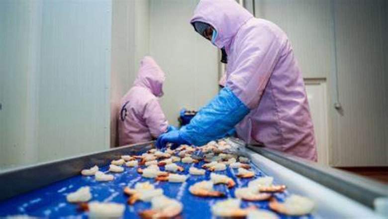 Oman’s SIMAK to Lead GCC with Largest Seafood Processing Facility