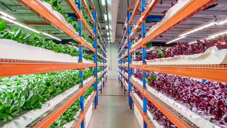 Emirates Flight Catering Fully Acquires Bustanica, The World’s Largest Indoor Vertical Farm