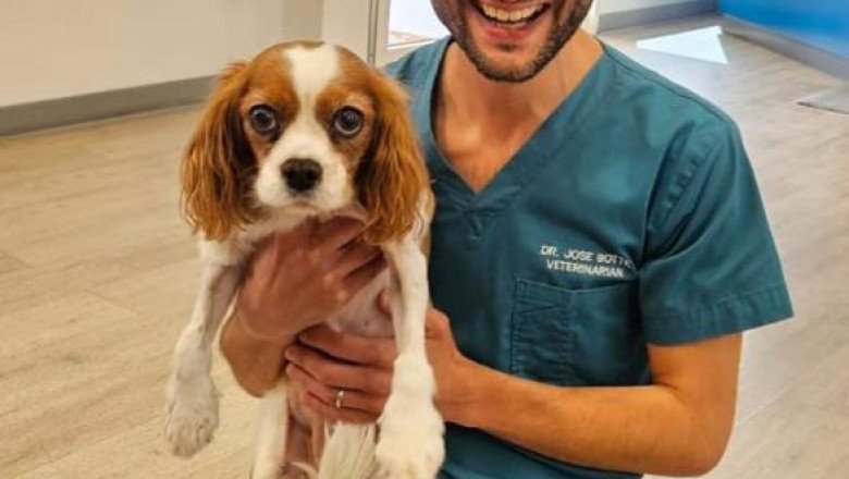UAE Sets New Standard In Veterinary Care