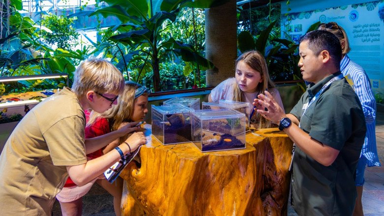 Discover Fun Summer Activities Across Dubai