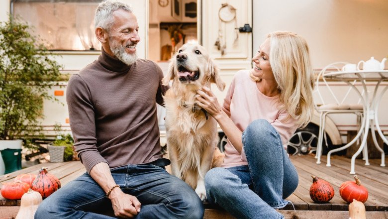 Does Owning a Pet Contribute to Your Success?