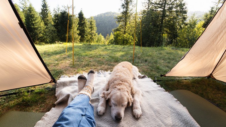 How Friluftsliv Can Help You Live an Open-Air Life to Boost Well-Being