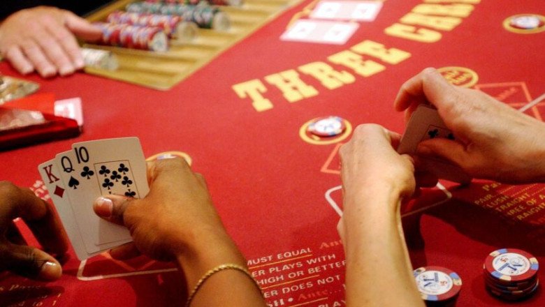 Bears Casino Seeks Young Talent for Multiple Positions