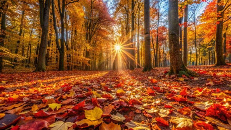 75 Fall Quotes to Embrace Change This Season