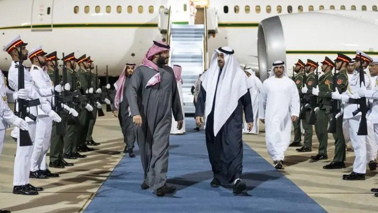 UAE President and Saudi Crown Prince discuss strategic ties