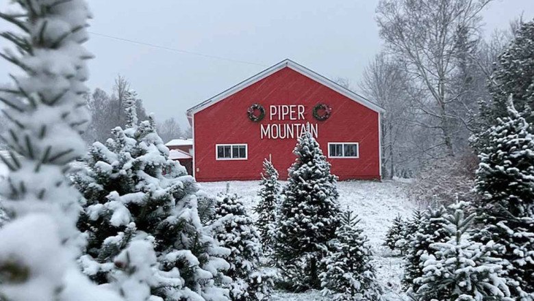 Meet the Christmas Tree Farmers Keeping the Spirit of Christmas Alive