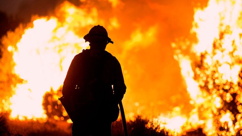 5 Ways to Help the Los Angeles Wildfire Victims and First Responders Right Now