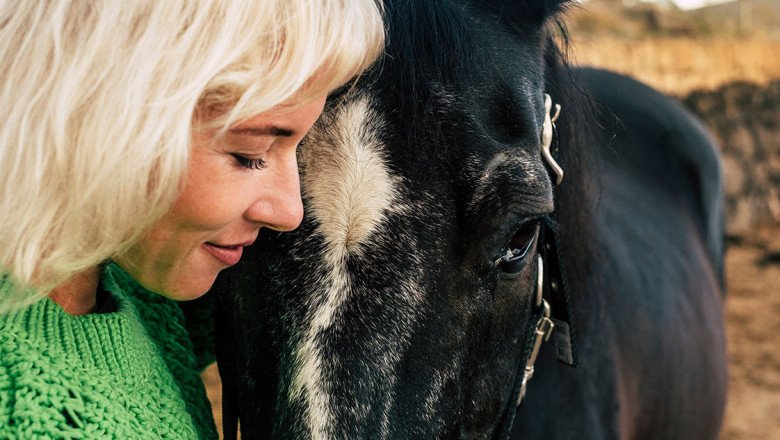 Equine-Assisted Learning Workshops Teach Leaders How to Tap Into Critical Emotional Intelligence Skills