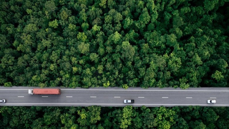 The Race for Net Zero by 2050
