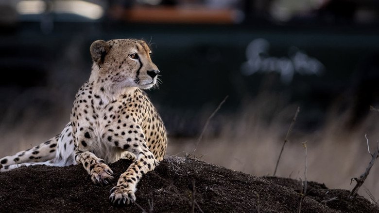 Tread Lightly: How To Travel With Sustainability in Mind
