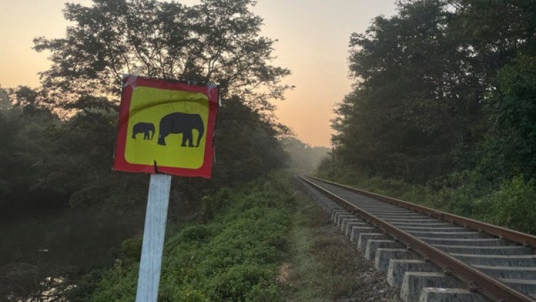 Elephant killed by train in Sri Lanka despite safety measures introduced after recent deadly crash