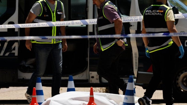Pro-Russian ex-Ukrainian politician Andriy Portnov reportedly killed outside American School in Spain