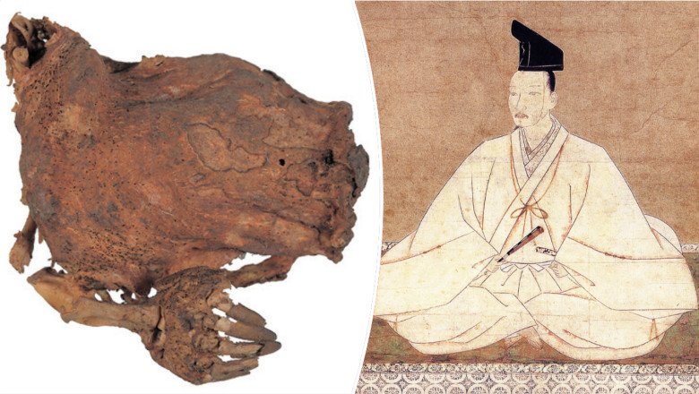 Centuries-old mummified ‘rainbow dragon’ in Japan revealed to be weasel-like marten
