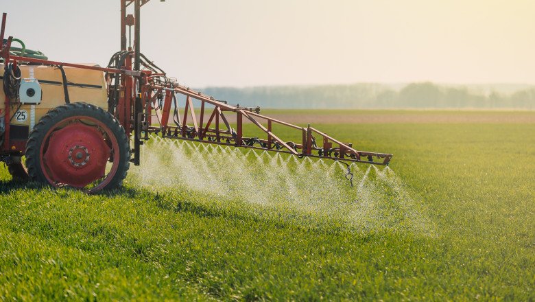 Are Pesticides in Your Food Harmful?