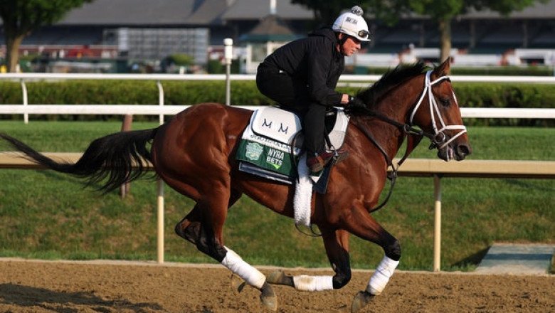 Meet the Belmont Stakes horses running in the 2025 race