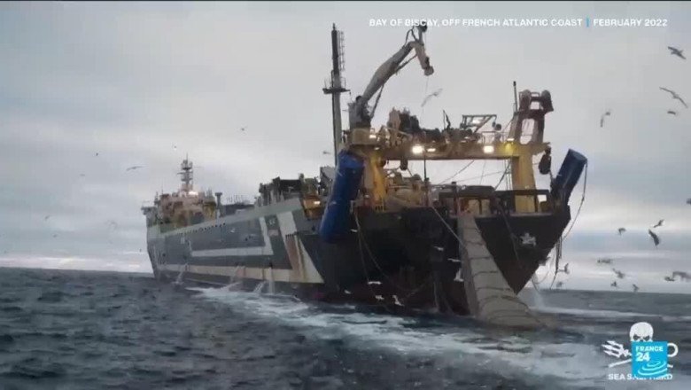 Scientists, activists call for ban on bottom trawling ahead of UN ocean summit