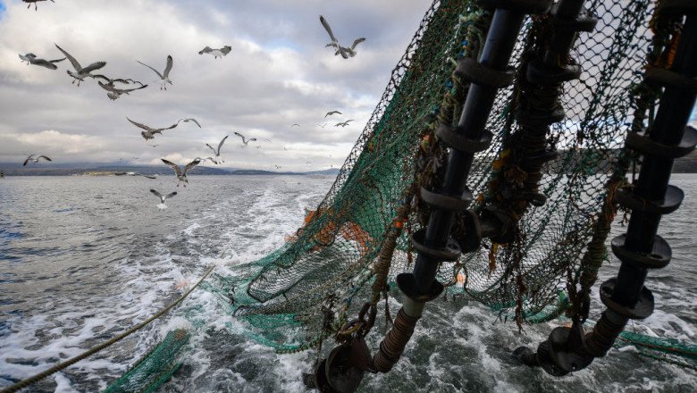 How AI Can Help Save Our Oceans