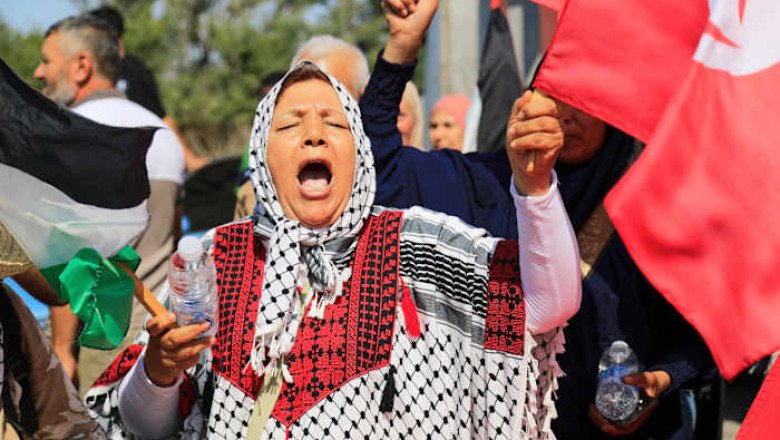 Egypt blocks activists aiming to march to Gaza to draw attention to humanitarian crisis