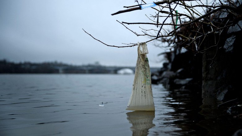 Do plastic bag bans and fees work? A new study says policies curb litter – by a lot