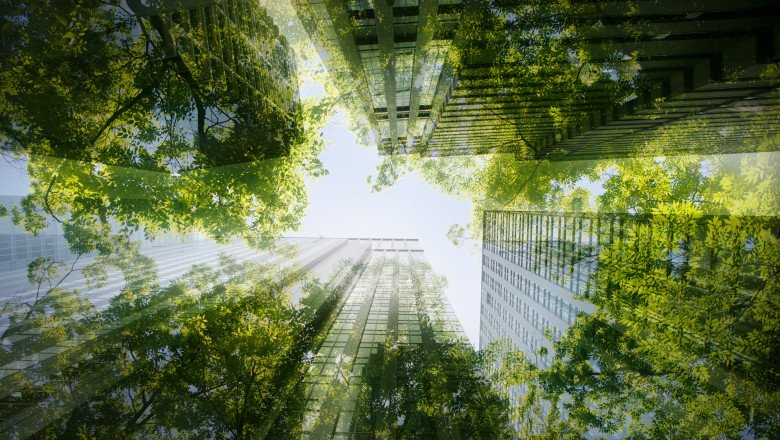 How TIME and Statista Determined the World’s Most Sustainable Companies of 2025