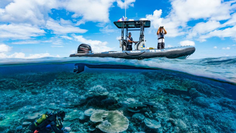 The Ocean Still Holds Mysteries. That’s Why We Must Save It