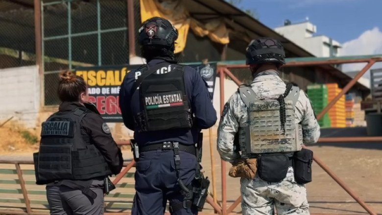 Mexico busts cartel-linked extortion ring in historic crackdown; exotic animals and cars seized