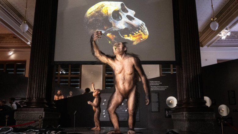Human ancestor Lucy gets first European showing in Prague