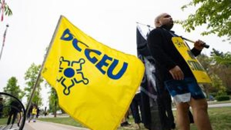 Picketing B.C. public sector workers attacked with bear spray: union