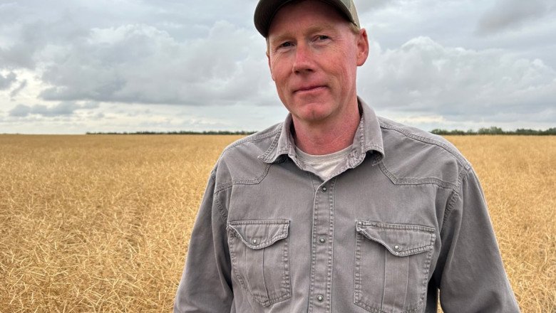 Canola farmers feel the pinch as tariffs threaten profits