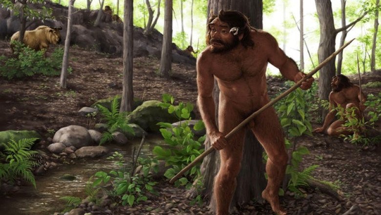 Million-year-old skull found in China could rewrite human evolution timeline, study finds: “This changes a lot of thinking”