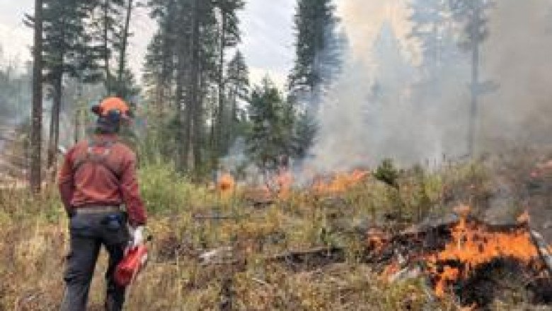 Planned ignition aims to reduce fuel around wildfire near Peachland, B.C.